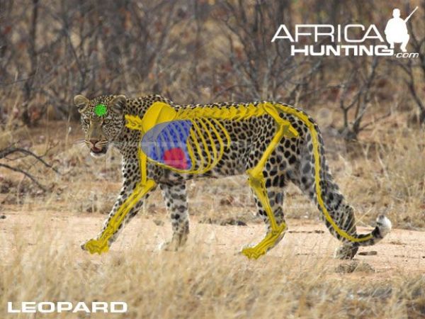 hunting-a-trophy-leopard