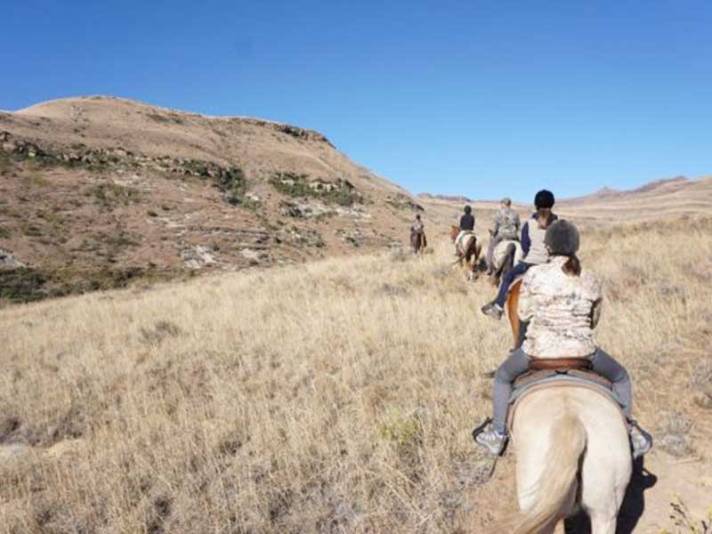 activities-horse-riding-somerby-safaris-featured-image