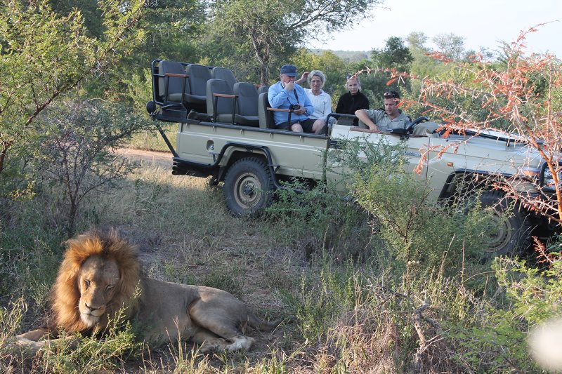 Day Trips to National Parks Somerby Safaris (7)