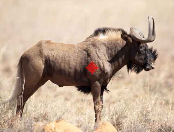 black_wildebeest_hunting_killshot