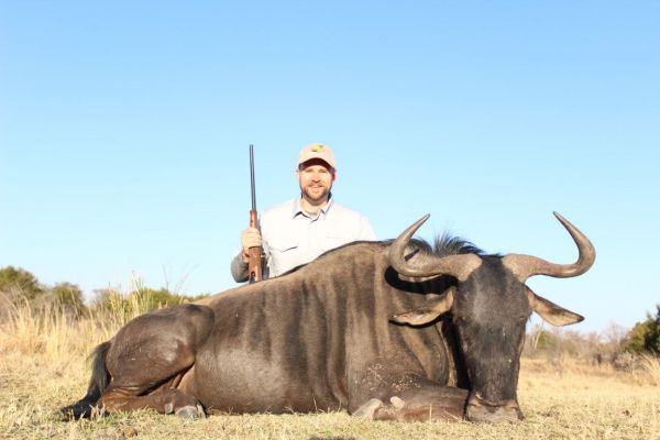 Hunting Blue Wildebeest in South Africa - Somerby Safaris