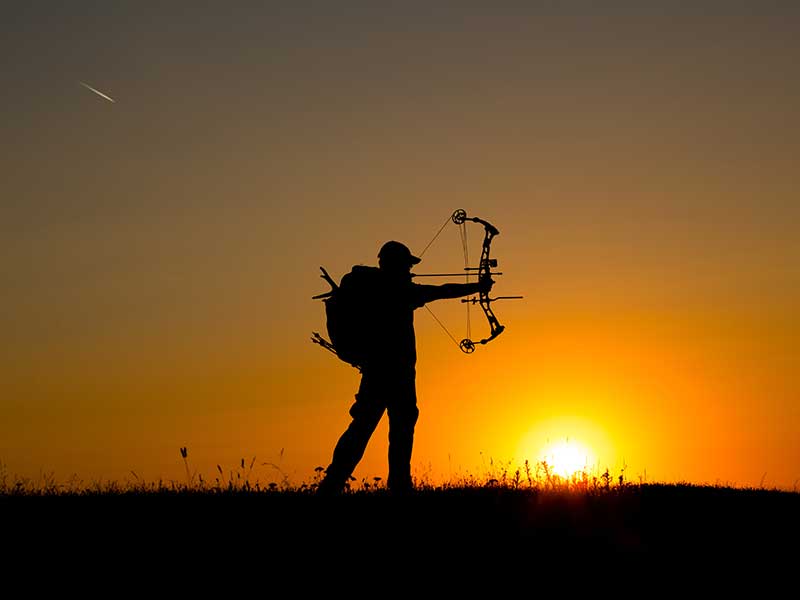 Bow Hunting - Somerby Safaris