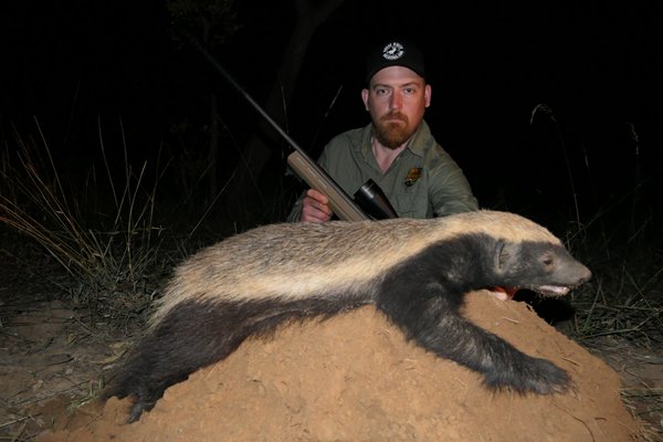 https://somerbysafaris.com/wp-content/uploads/hunting-honey-badger-southern-africa-2.jpg