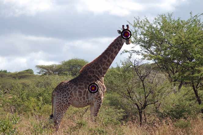 hunting_a_trophy_giraffe_somerby_safaris