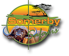 Somerby Safaris South Africa